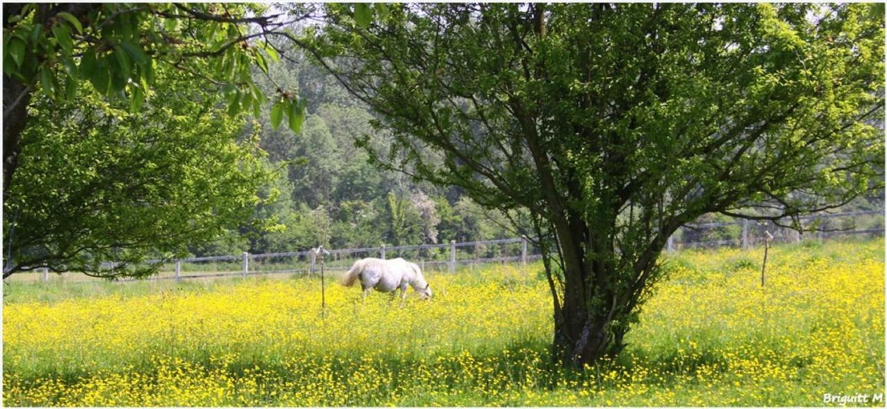 Boufflers Les Songes De L'Authie Bed & Breakfast エクステリア 写真